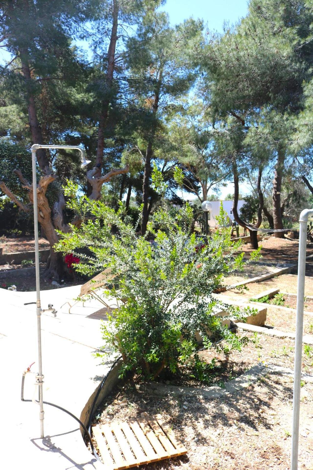 Villa Maria In Puglia Con Pineta Vicino Al Mare 토레 수다 외부 사진